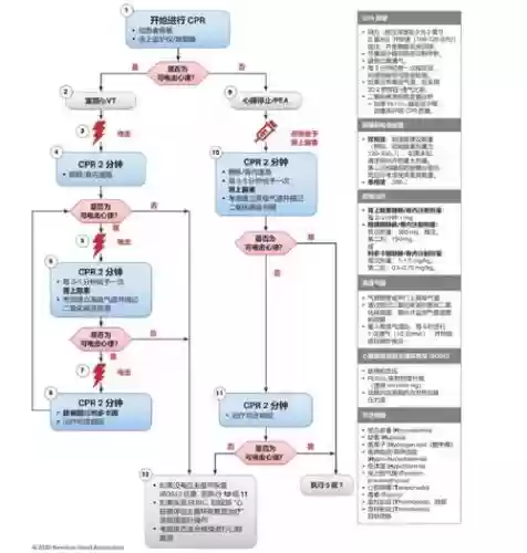 医疗救护队阵容搭配，医疗救护队组建方案插图