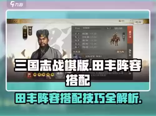 田丰搭配阵容，田丰搭配什么战法插图