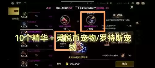 dnf宠物装备怎么得到的，dnf宠物装备如何获得插图1