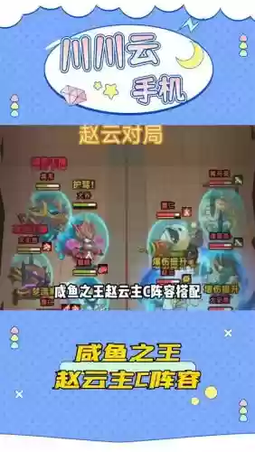 赵云搭配阵容，赵云搭配阵容一览表插图