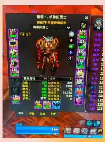 7.3奶萨属性装备，335奶萨属性插图