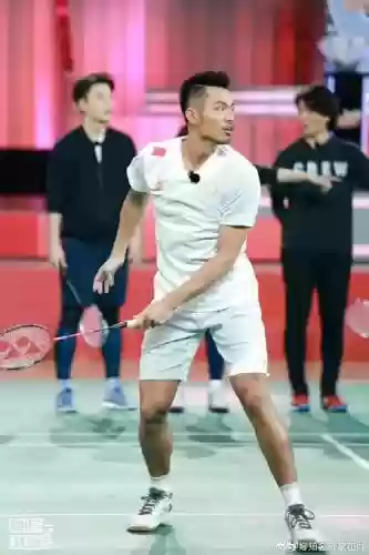林丹阵容搭配插图1