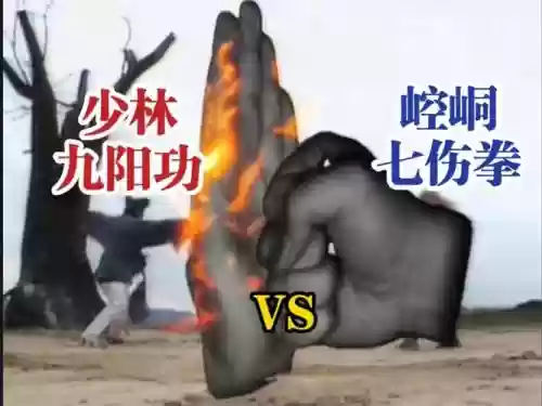 武林外传伤害最高的技能插图