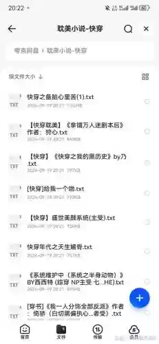 穿越之二次攻略网盘，二次穿越之后txt插图