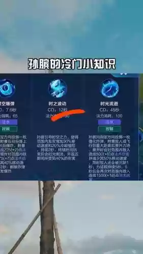 王者荣耀孙斌主学什么技能，孙斌二技能能加血吗插图1