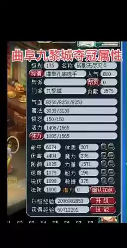 梦幻西游鉴定装备无级别图片，梦幻西游鉴定装备有什么技巧