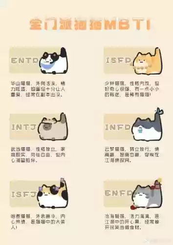 冷门猫咪阵容搭配插图