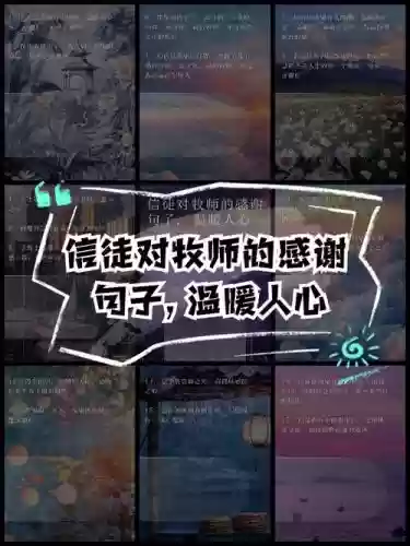 赞美牧师如何加技能，赞美牧师如何加技能的句子插图