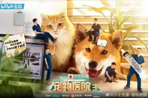 小安康哪个技能值得升级，小主安康插图