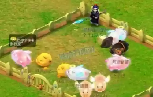 梦幻西游祥瑞放生带入新区，梦幻西游新资料片祥瑞插图1