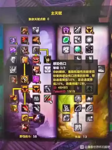 魔兽世界熊T技能7.3，tbc熊t操作插图