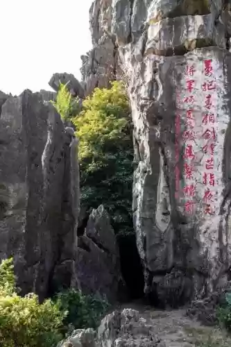天降雄狮神石攻略，天降雄狮185副本怎么过插图