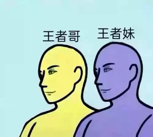 最快乐的双排阵容搭配，快乐双排表情包